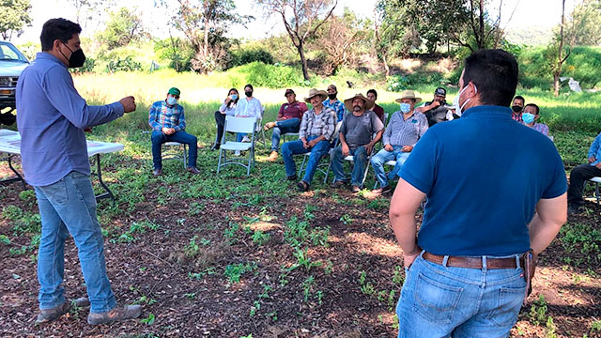 Un campo más sustentable para Zamora: CIMMYT
