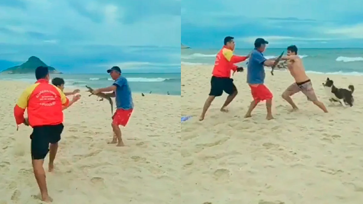 Hombre usa un caimán vivo como un arma en una pelea en una playa