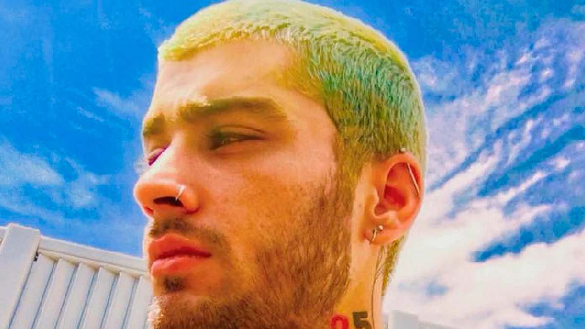 Sentencian a Zayn Malik por pegarle a su suegra, la mamá de Gigi Hadid