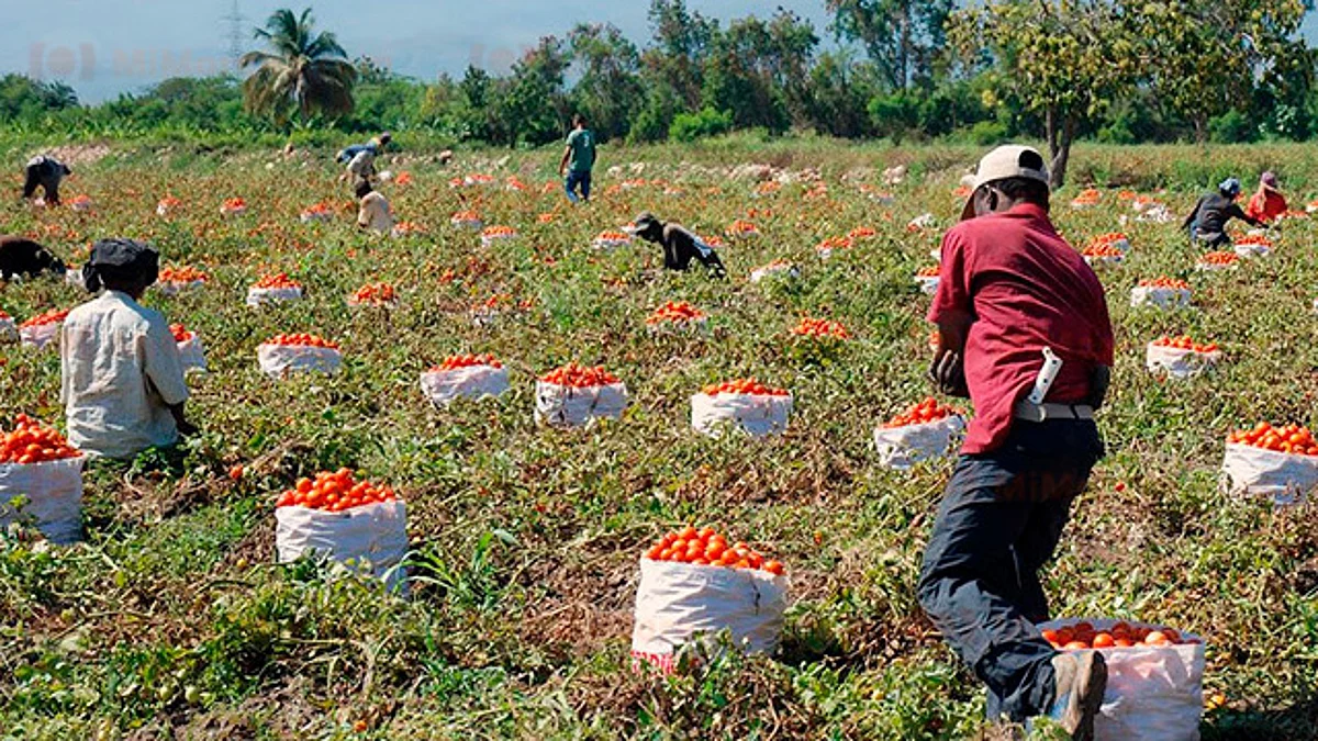 Compromete federación mil 200 mdp para sector agrícola de Michoacán