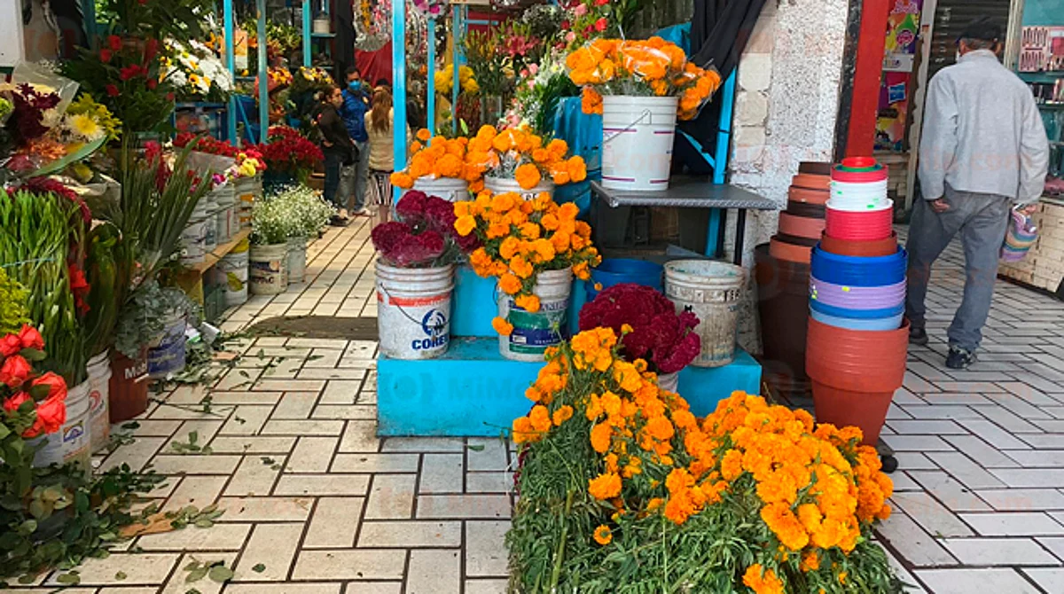 Cempasúchil se vende más caro; alcanza los $80 en Morelia