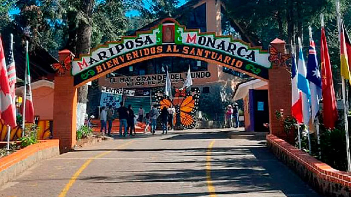 Instalarán dispositivos de seguridad en zonas de la Mariposa Monarca