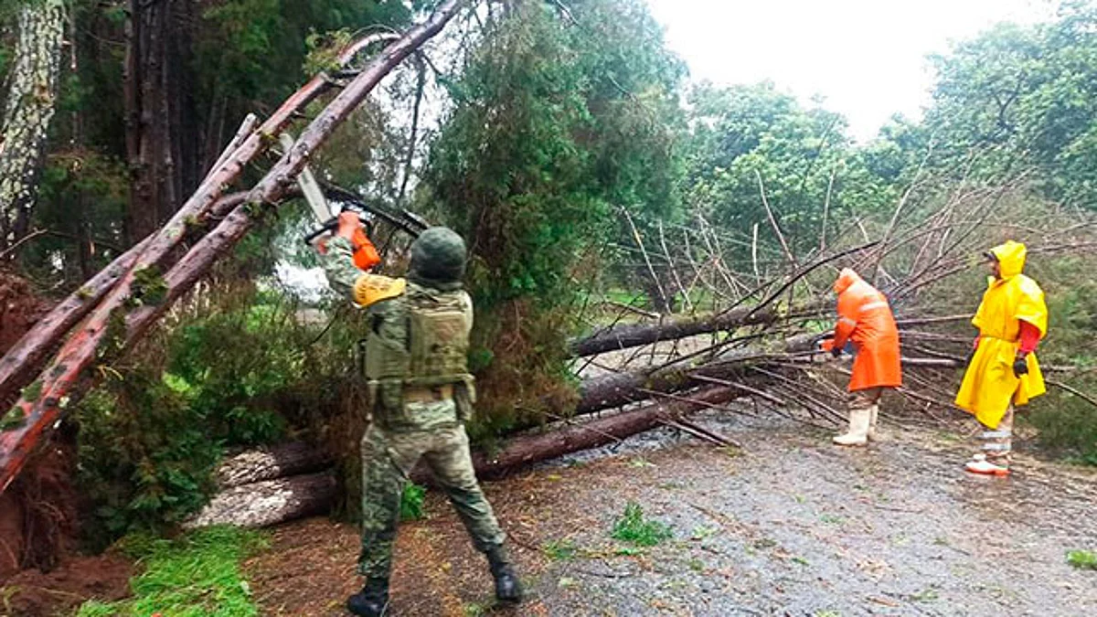 Por Huracán Rick, Ejército Mexicano activa Plan DN-III-E en Ario de Rosales