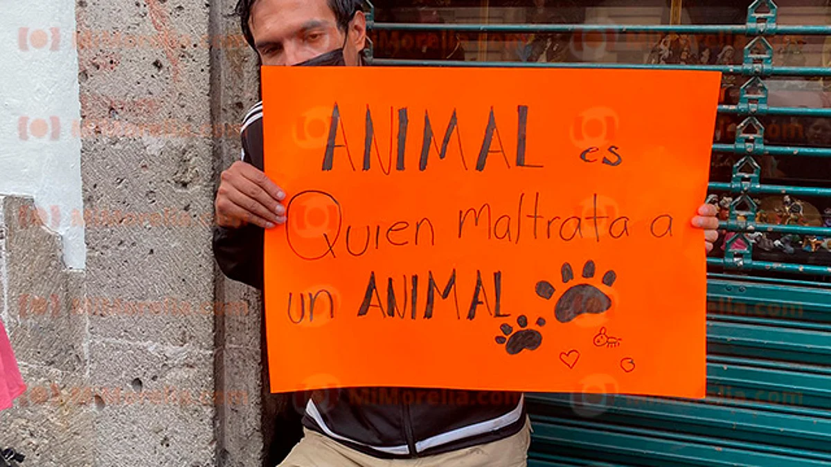 Exigen justicia en Morelia para Boby, perro que murió luego de ser arrastrado