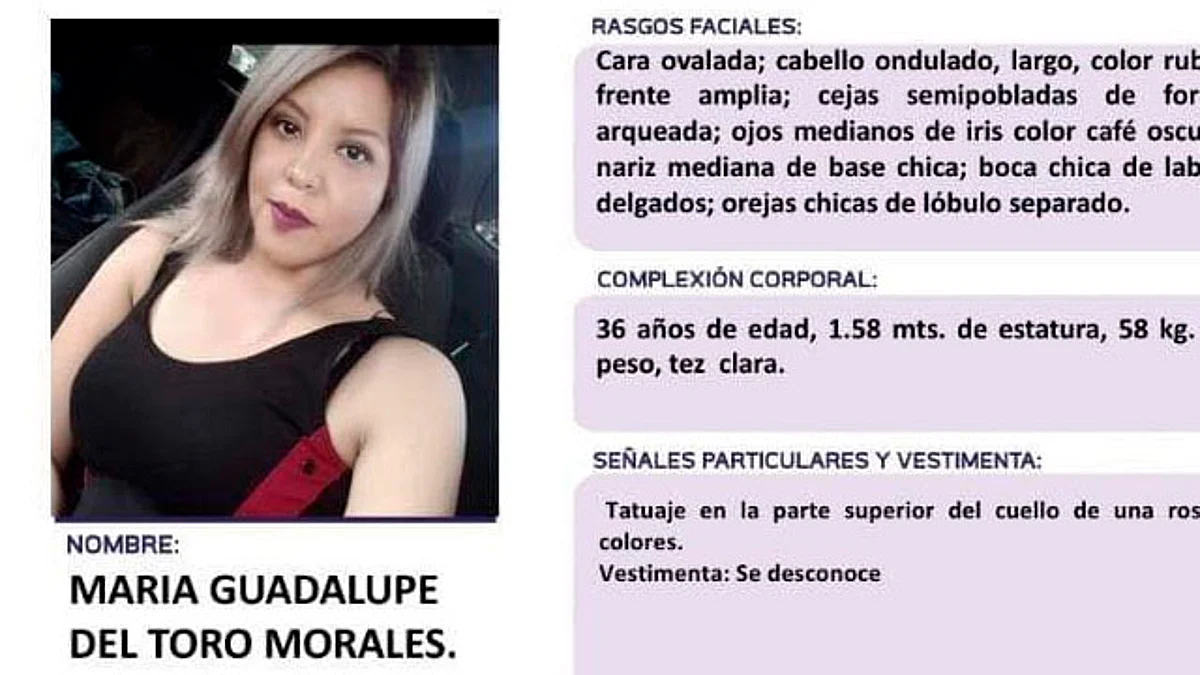 Convocan a actividad de apoyo en audiencia sobre feminicidio de Guadalupe del Toro