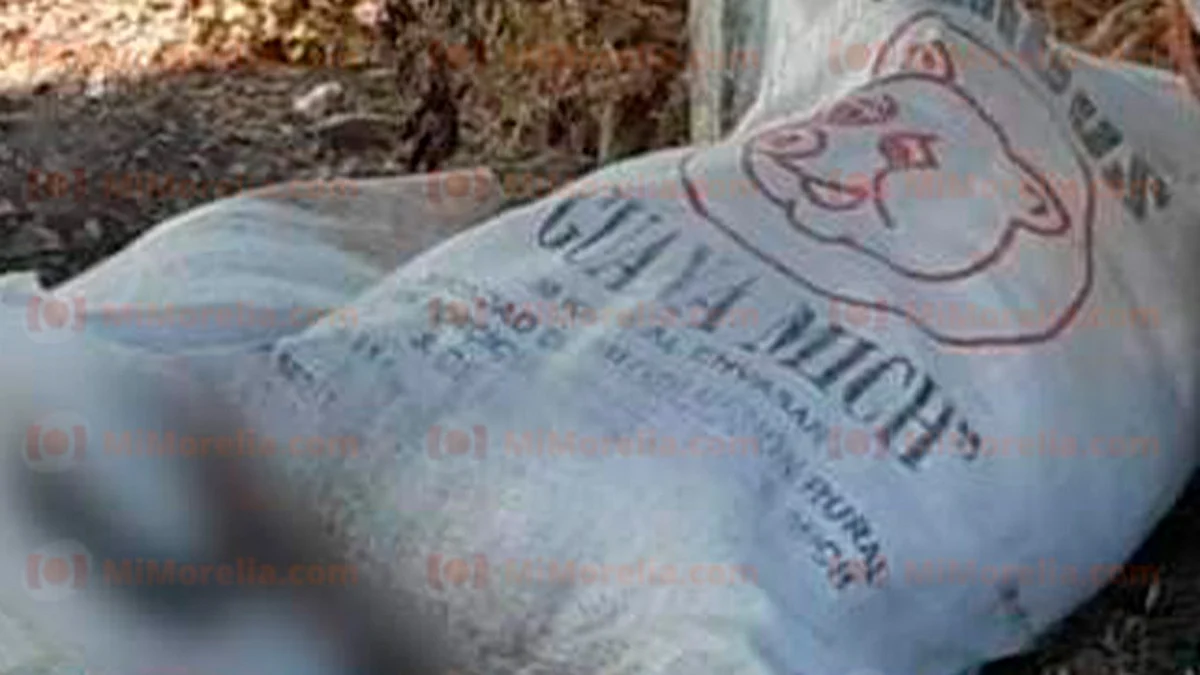 Michoacán: hallan cadáveres descuartizados de hombres en costales