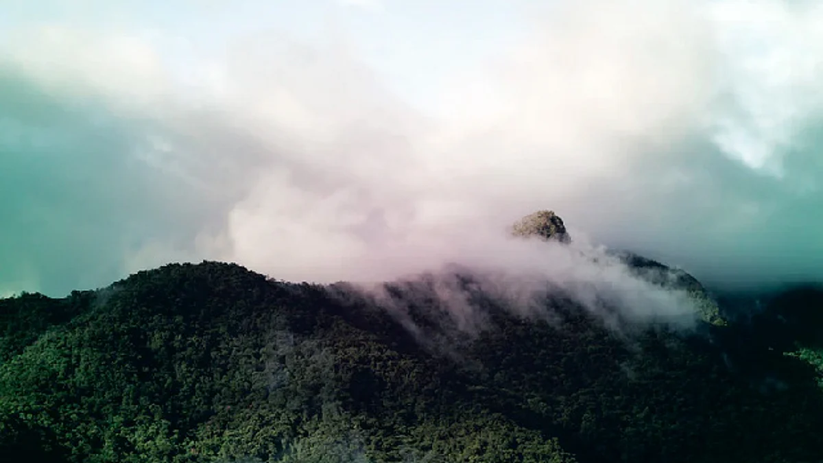 Michoacán, con temperaturas entre 0 y 5 grados en zonas altas