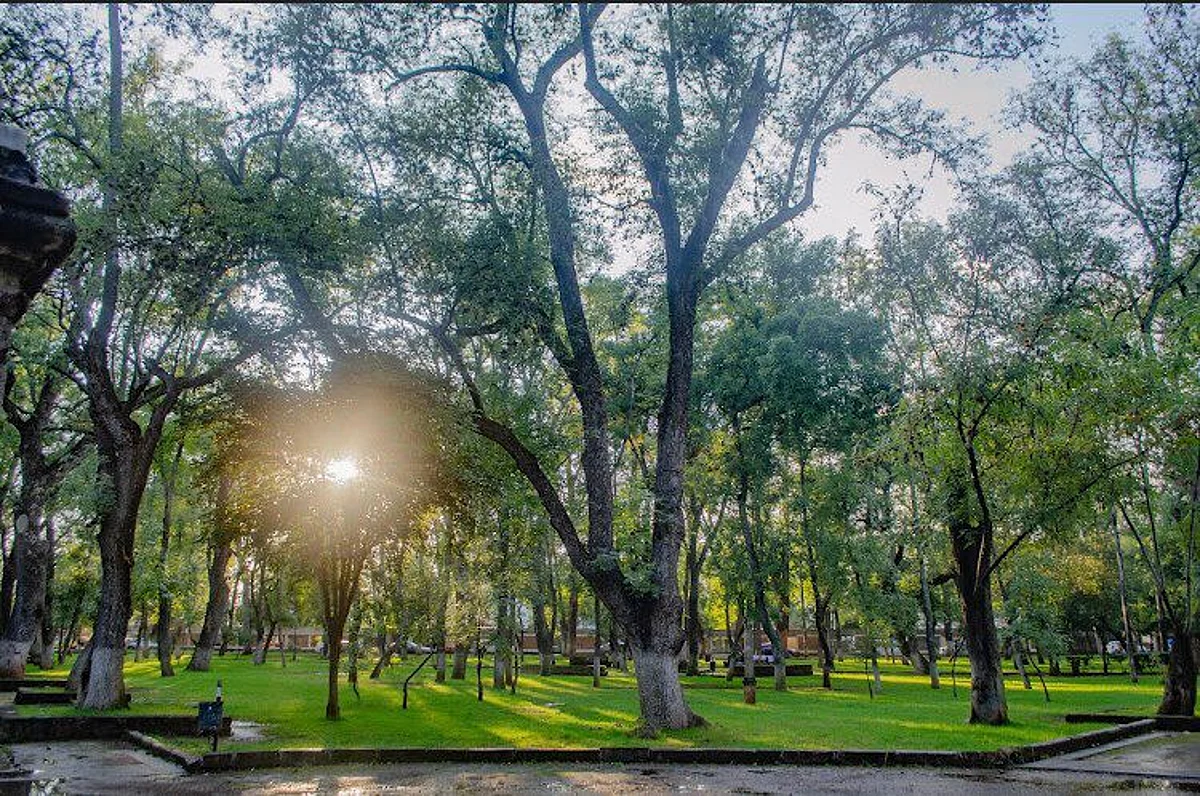 Bosque Cuauhtémoc de Morelia, lugar polifacético que invita a disfrutarlo