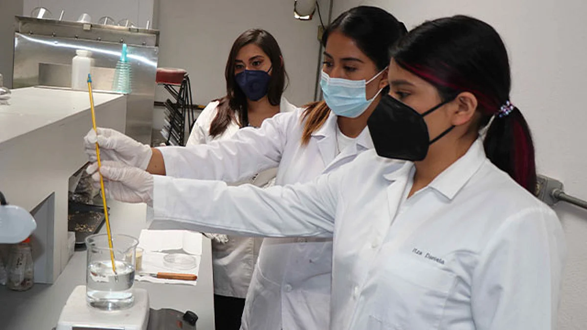 En el Tec de Morelia, crean parche para cicatrización de heridas post quirúrgicas