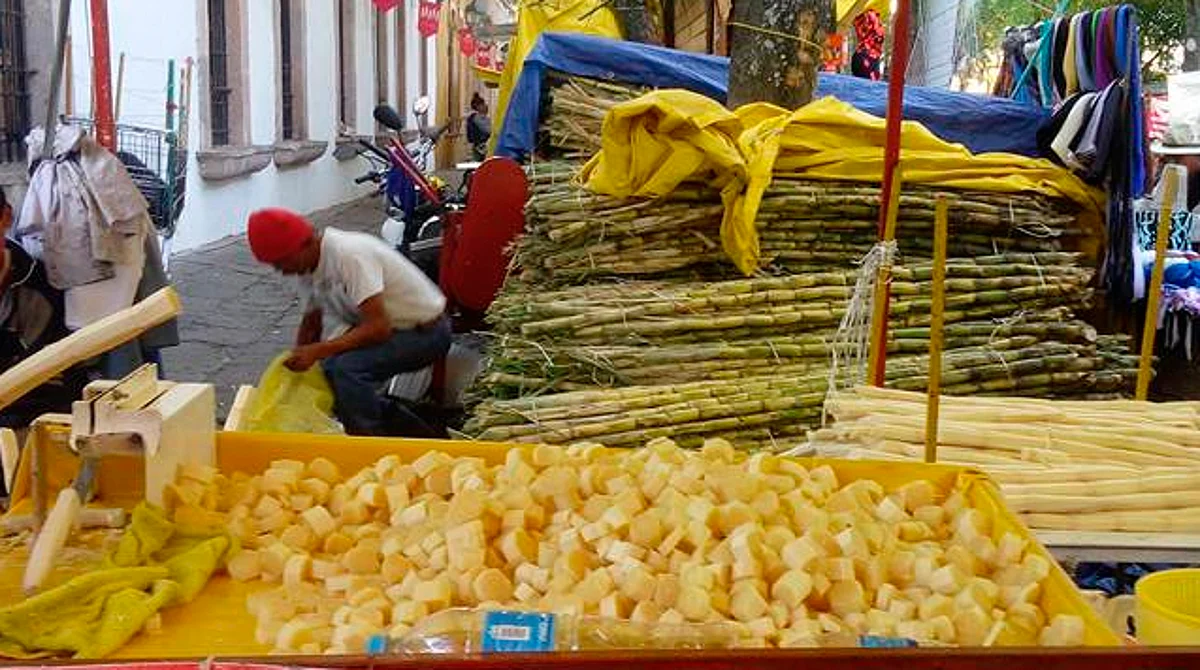 Cañas en Morelia se instalarían antes de lo previsto