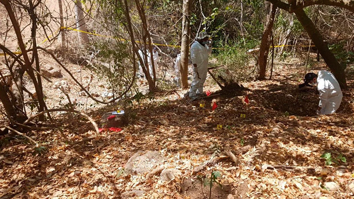 Doce mil osamentas sin identificar en Michoacán: CEDH