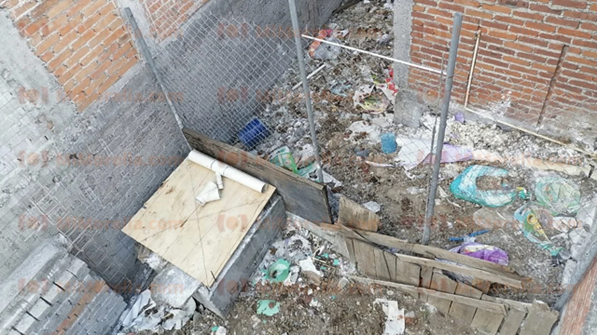 Refugio en Morelia tiene a perros en muy malas condiciones, denuncian