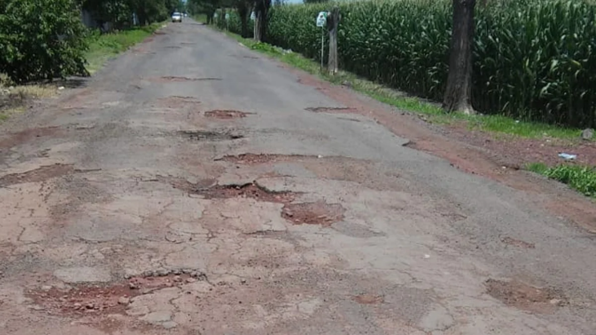 Recaudación de reemplacamiento, a carreteras, pensiones y seguridad: Bugarini