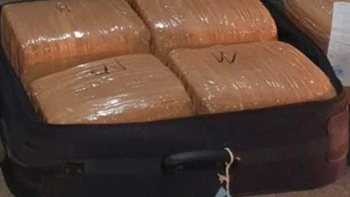 Michoacán: los detienen en autobús con maletas cargadas de marihuana