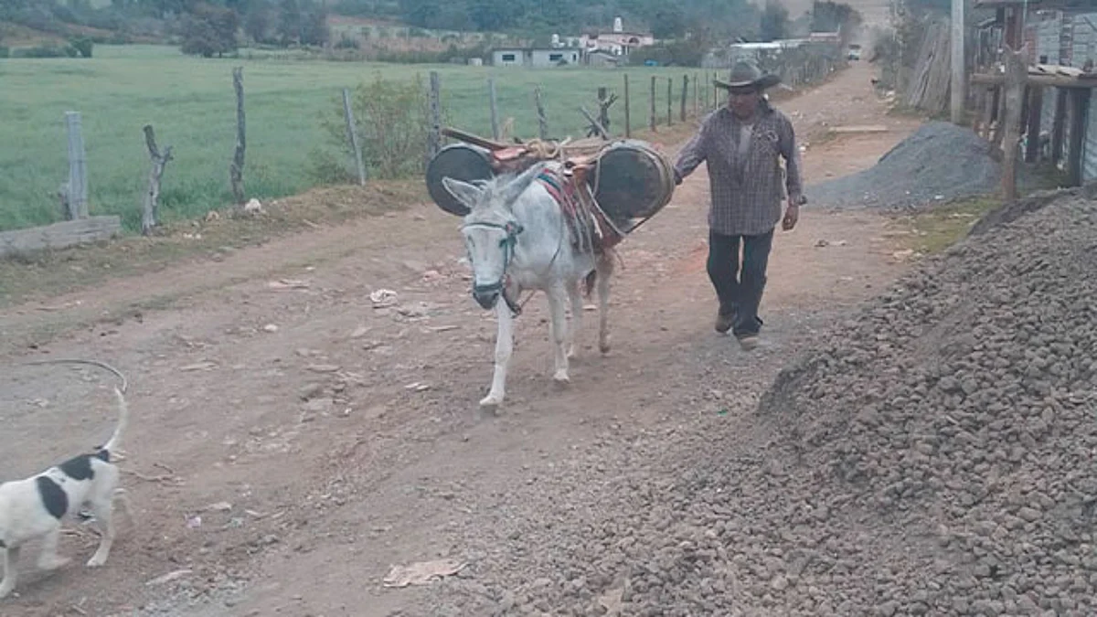PEF 2022 no incluye obras para comunidades indígenas, denuncian purépechas