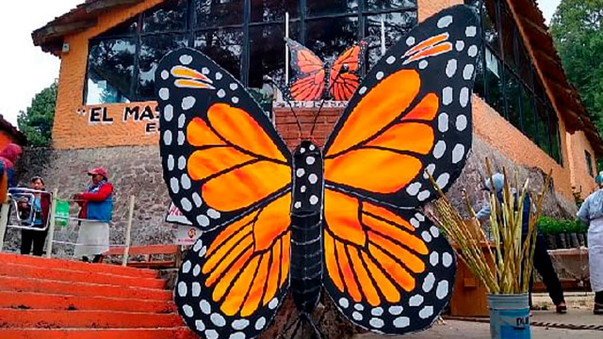 Zitácuaro, a unos días del Festival Internacional de la Mariposa Monarca 🦋