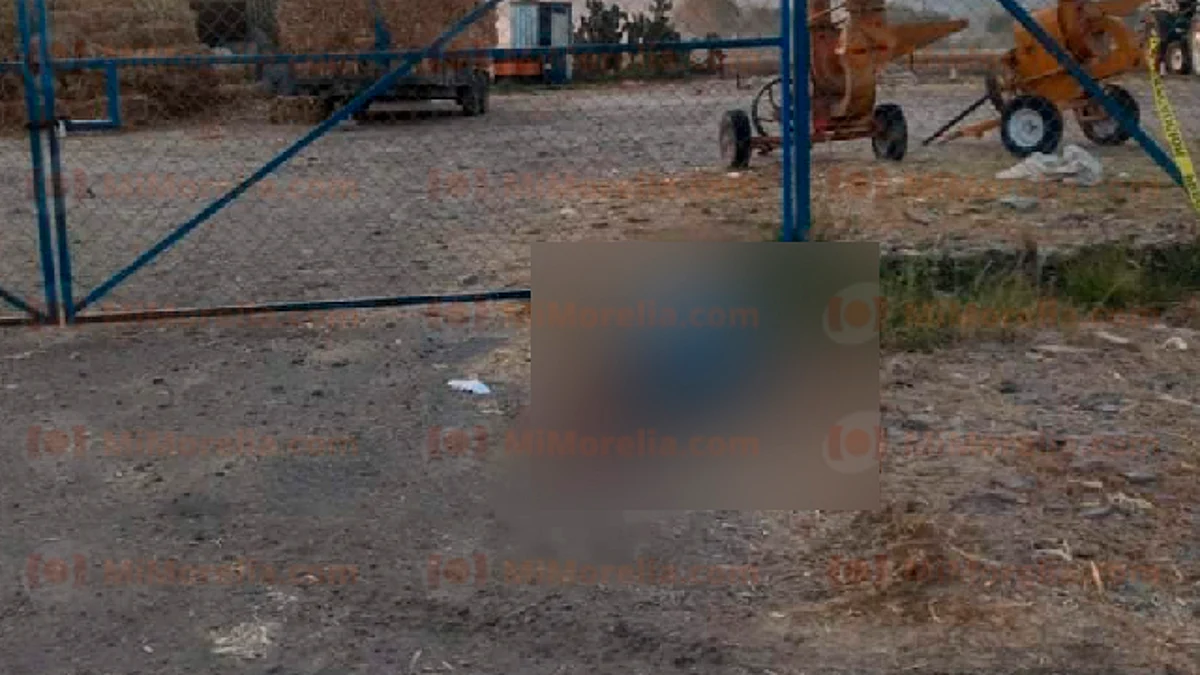 Hallan a hombre ejecutado y maniatado en Álvaro Obregón