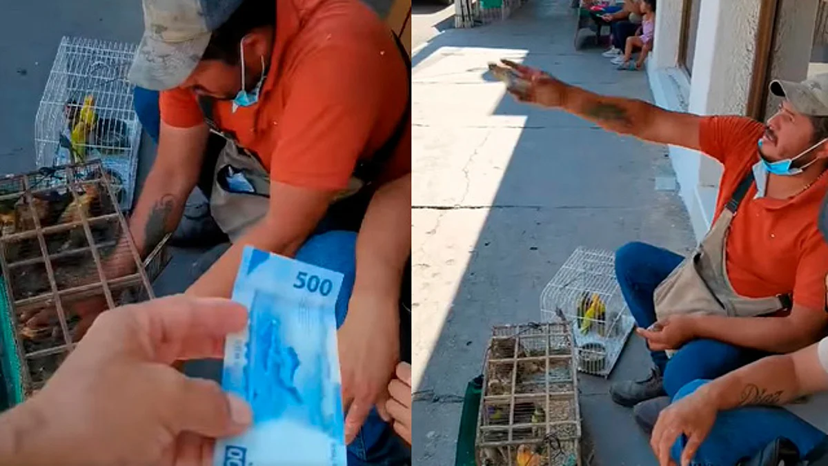 En Michoacán, hombre paga por liberar pájaros, pero divide opiniones