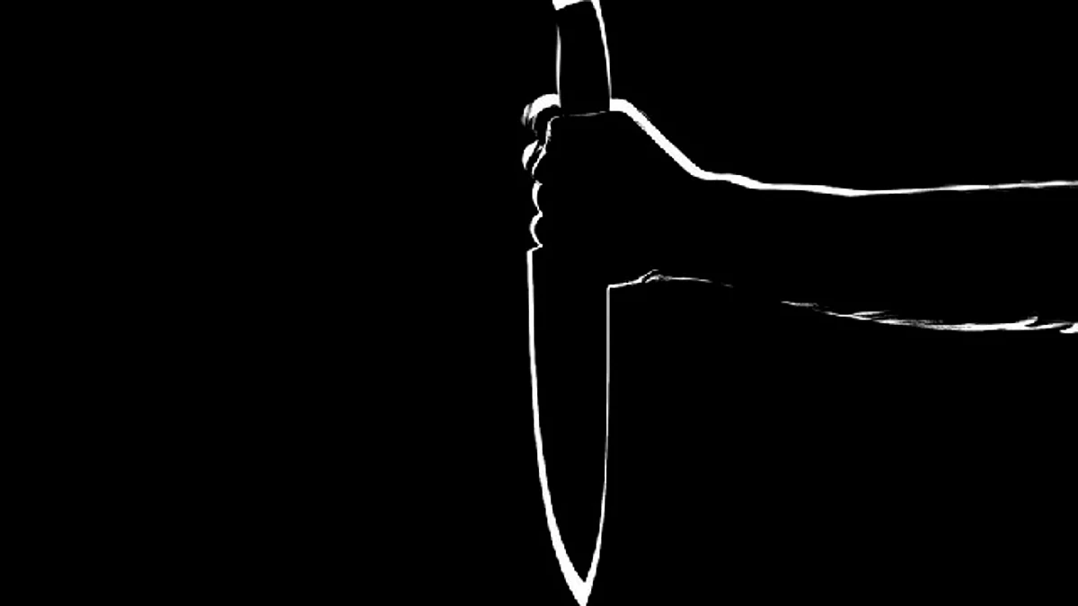 Mujer se declara culpable de alquilar un sicario para matar a su exmarido
