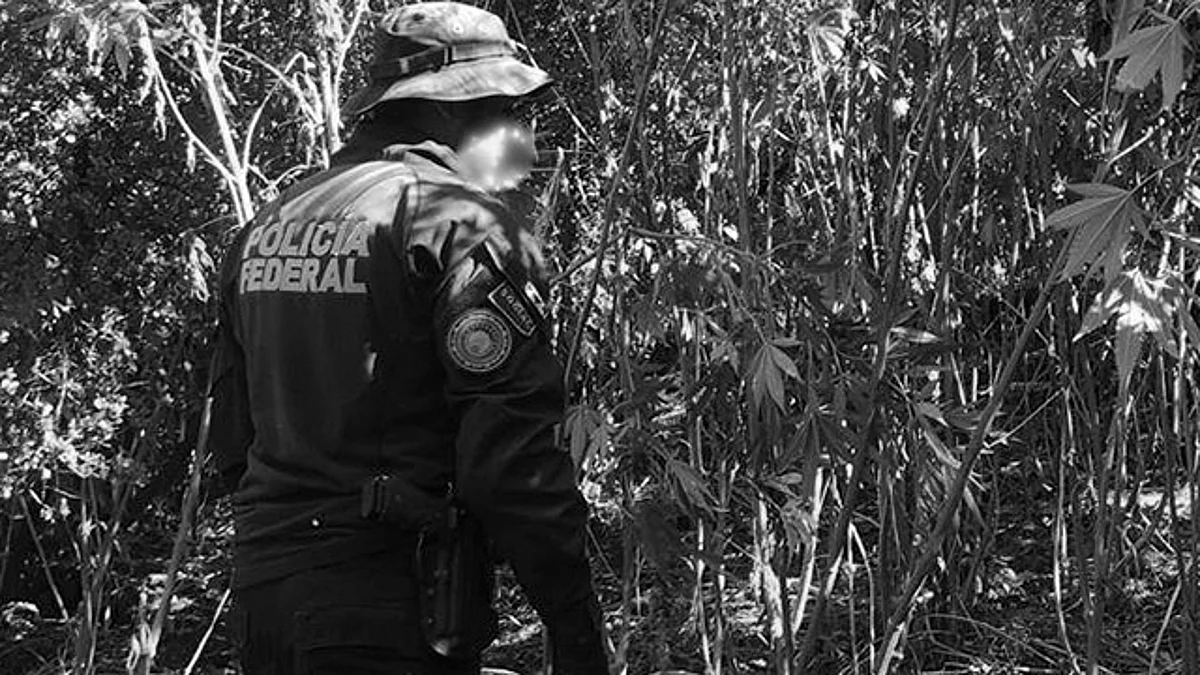 Se hizo pasar por policía y secuestró a 4; ya está detenido, en Michoacán