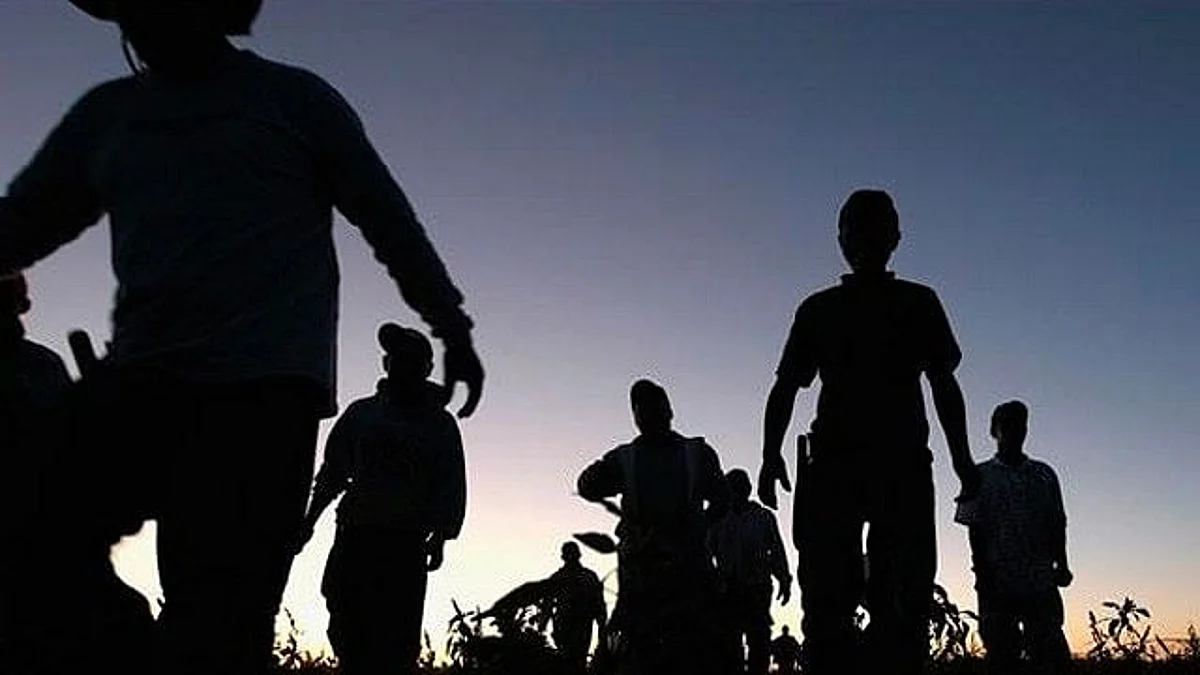 El principal país de destino de los migrantes es Estados Unidos con un 77%