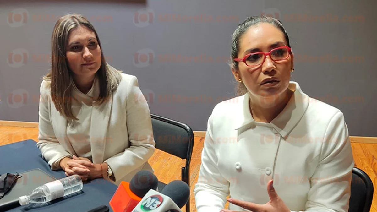 Modelo híbrido del CPC, tentación para intromisión de partidos políticos: Elizabeth Vázquez