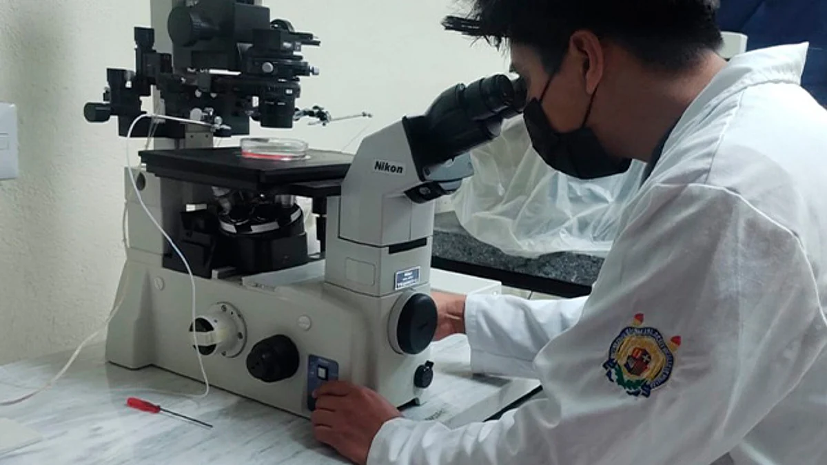 Desarrolla UMSNH proyectos para prevenir muertes en pacientes con Covid-19