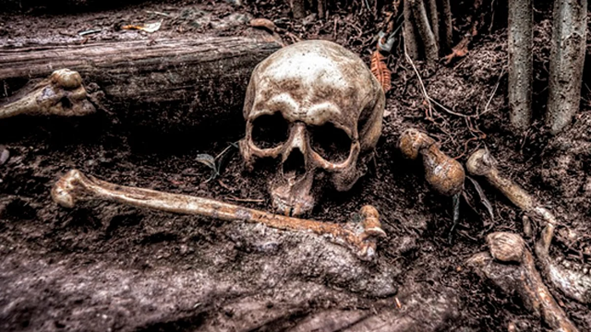 Investigan ritual satánico tras el hallazgo de cráneos acomodados