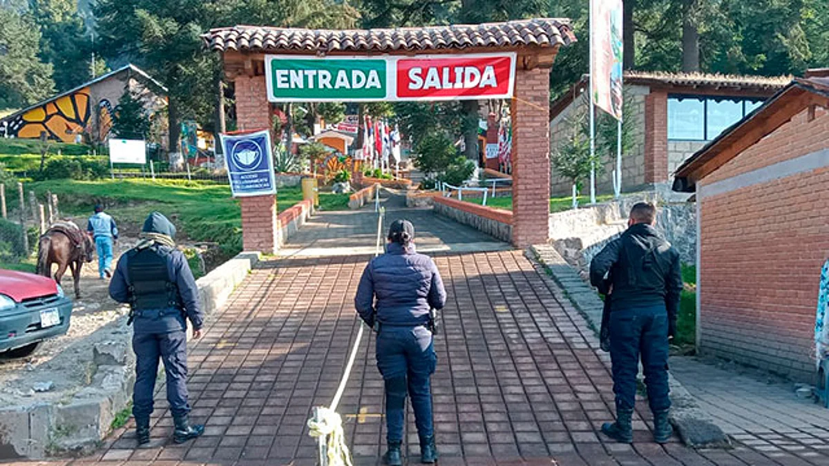 Mantienen operativo de seguridad en santuarios de la Mariposa Monarca