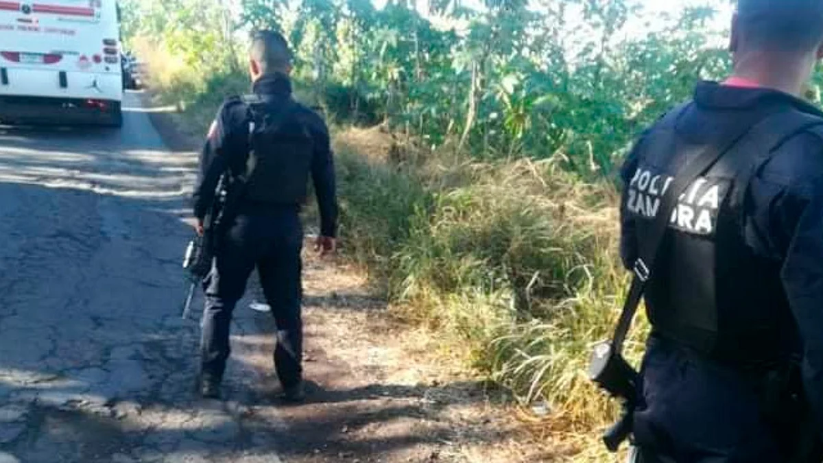 El hallazgo fue reportado mediante una denuncia ciudadana, sobre la carretera puente de tubos-Ario de Rayón