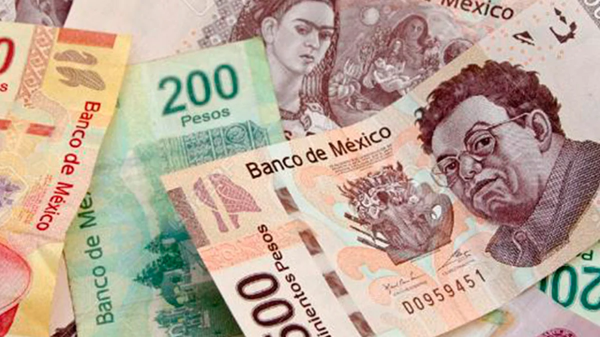 Así se distribuirían los recursos por el reemplacamiento en Michoacán