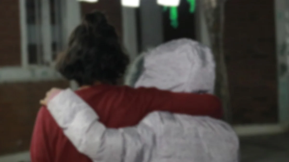 La directora explicó que en algunos casos lo hacen como "travesura" y la gran mayoría son ubicados