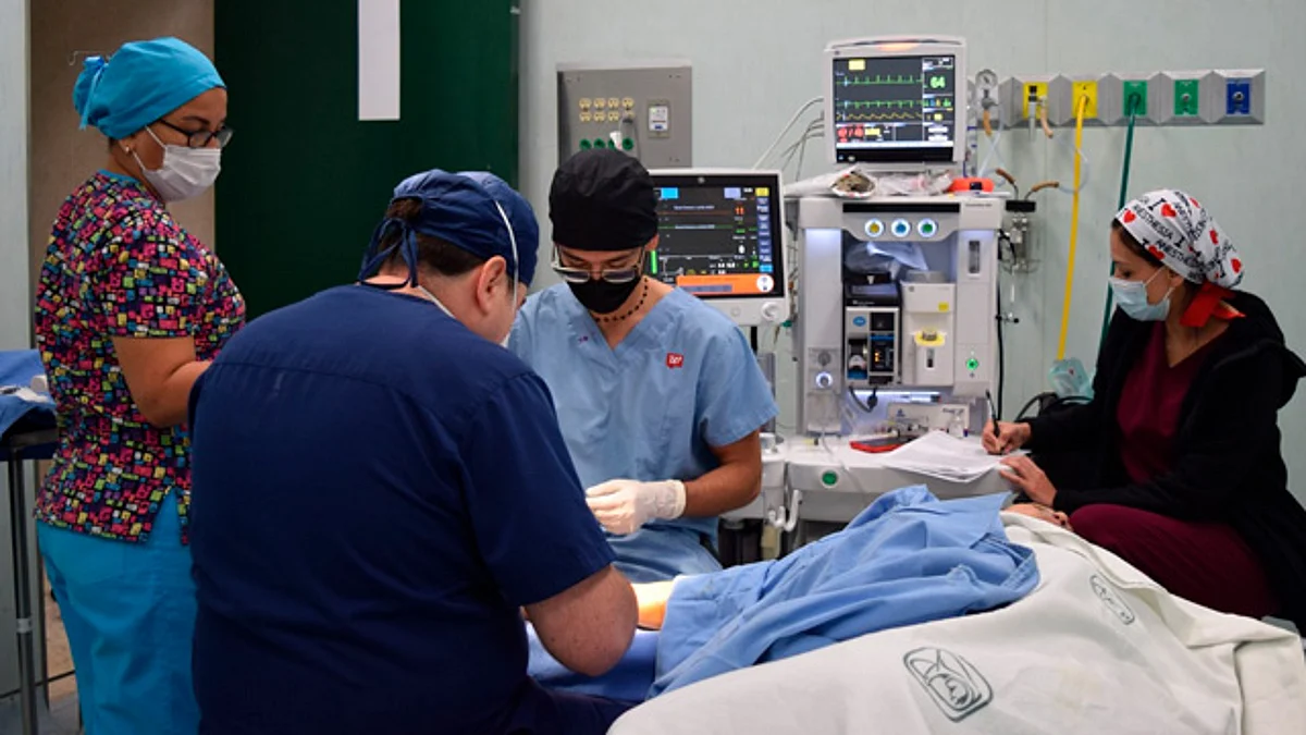 IMSS realizó 39 trasplantes y casi 3 mil cirugías en 3 días