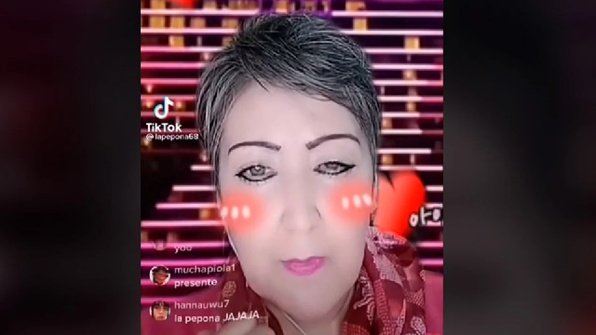 Todo surgió en TikTok