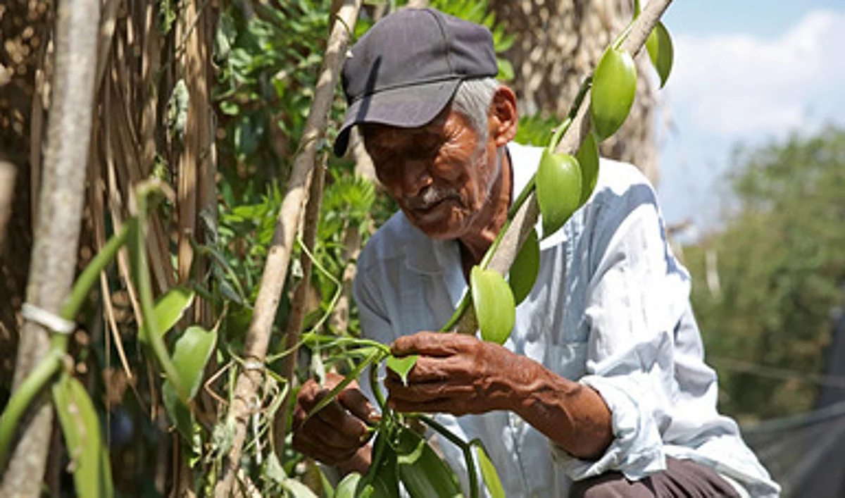 Marginación causa desinformación en problemas agrarios: Tribunal Agrario