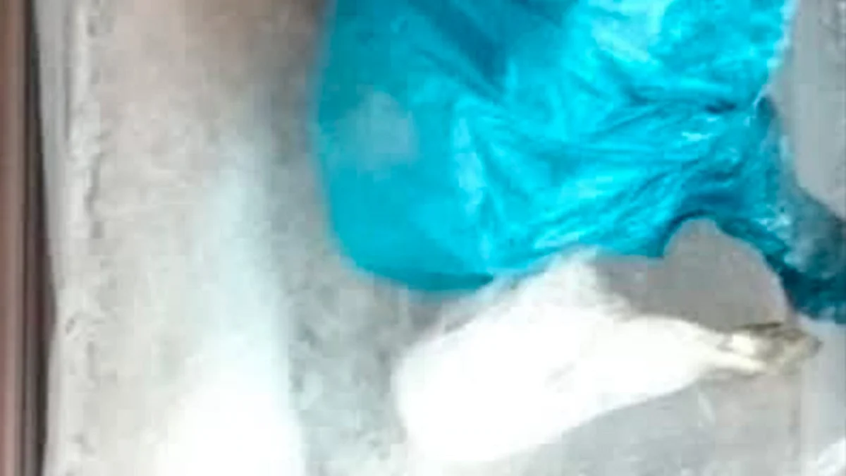 Detienen a tres en Morelia por posesión de droga