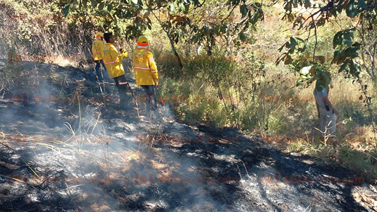 Tacámbaro registra primer incendio forestal de 2022