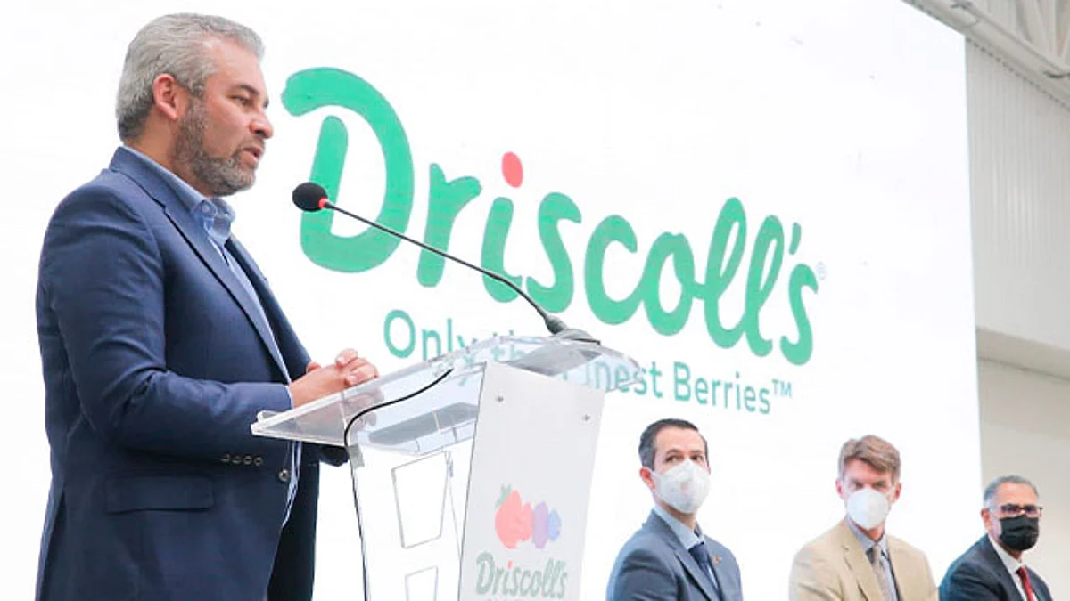 Las instalaciones del frigorífico de berries de la empresa Driscoll's tiene una inversión de 500 millones de pesos