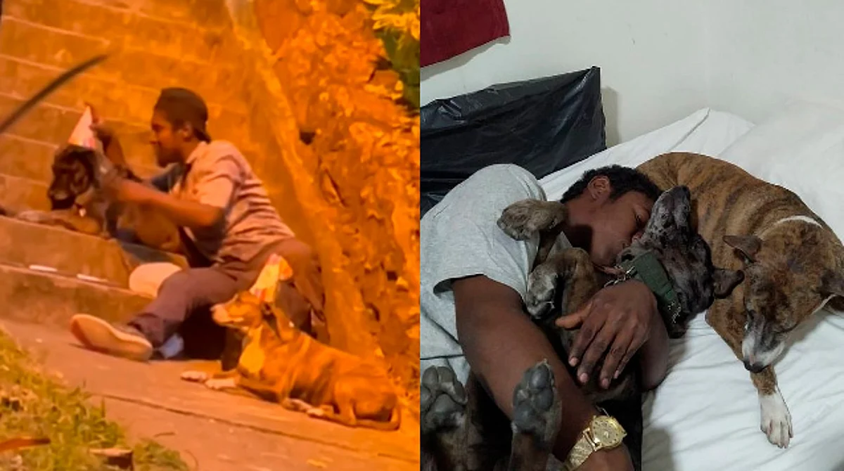 Ofrecen refugio a joven que celebró cumpleaños a sus perritos