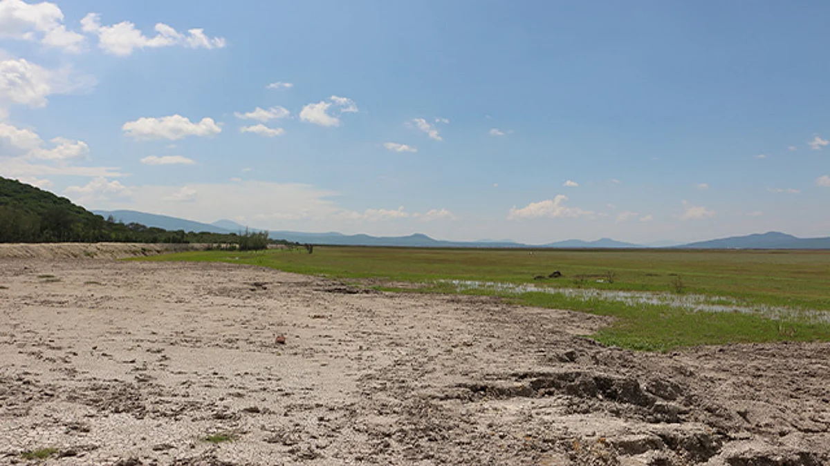 Presentan plan emergente para el rescate del lago de Cuitzeo en Michoacán