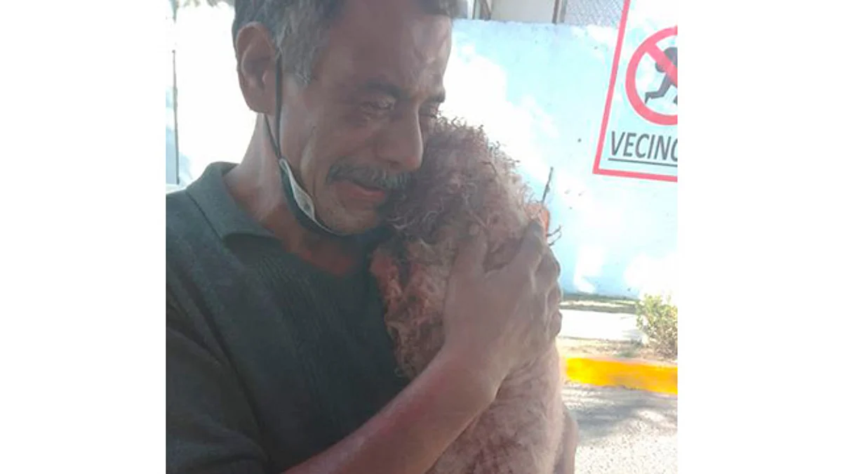 Morelia: denuncian asesinato de perrito a cuchilladas