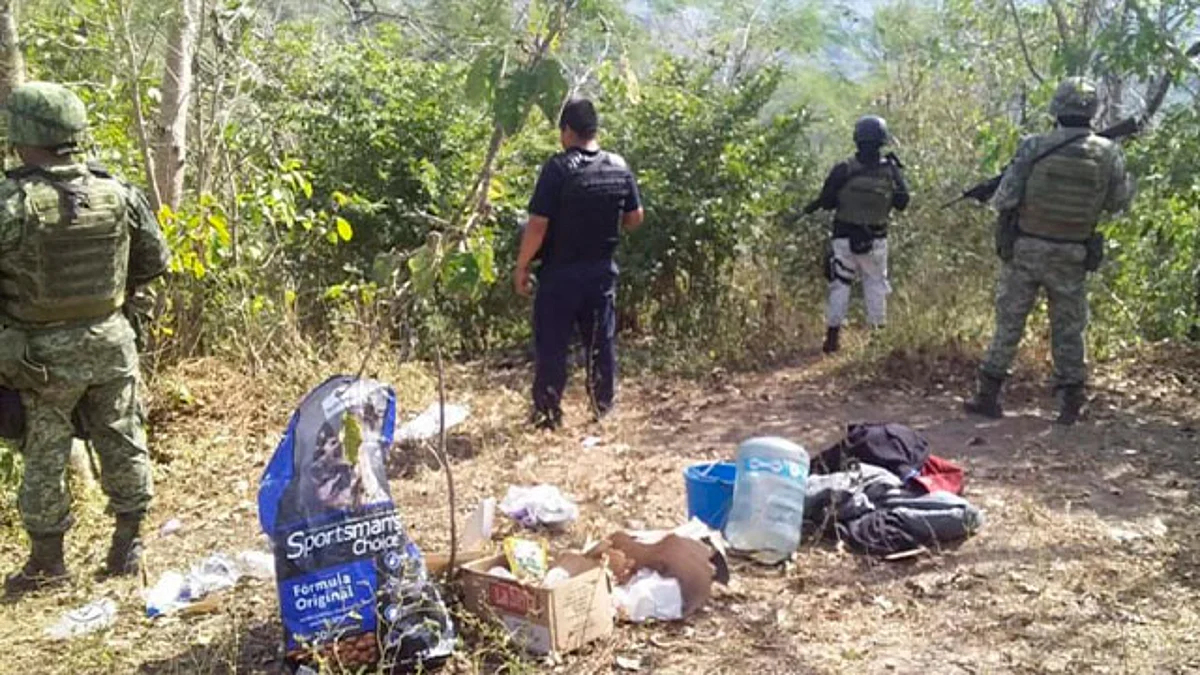 Elementos de seguridad pública destruyen campamento y plantío de marihuana