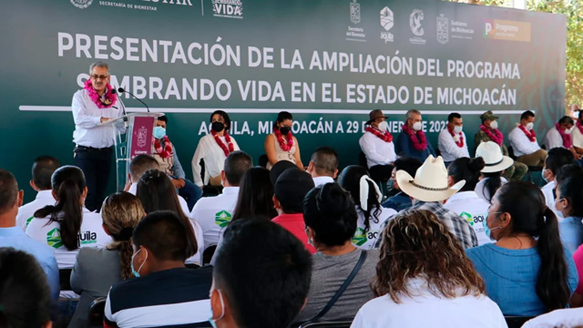 Gobiernos de México y Michoacán amplían programa Sembrando Vida