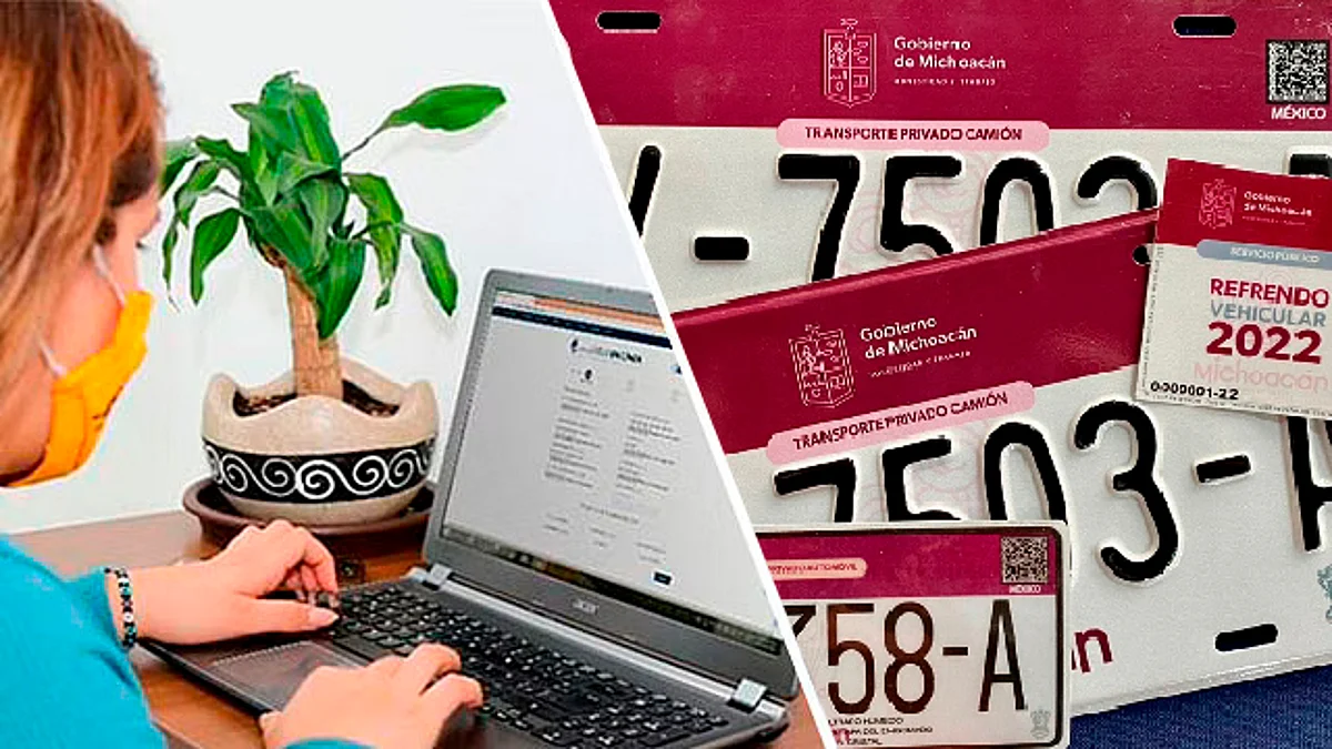 Trámite de reemplacamiento se podrá hacer en línea, la próxima semana