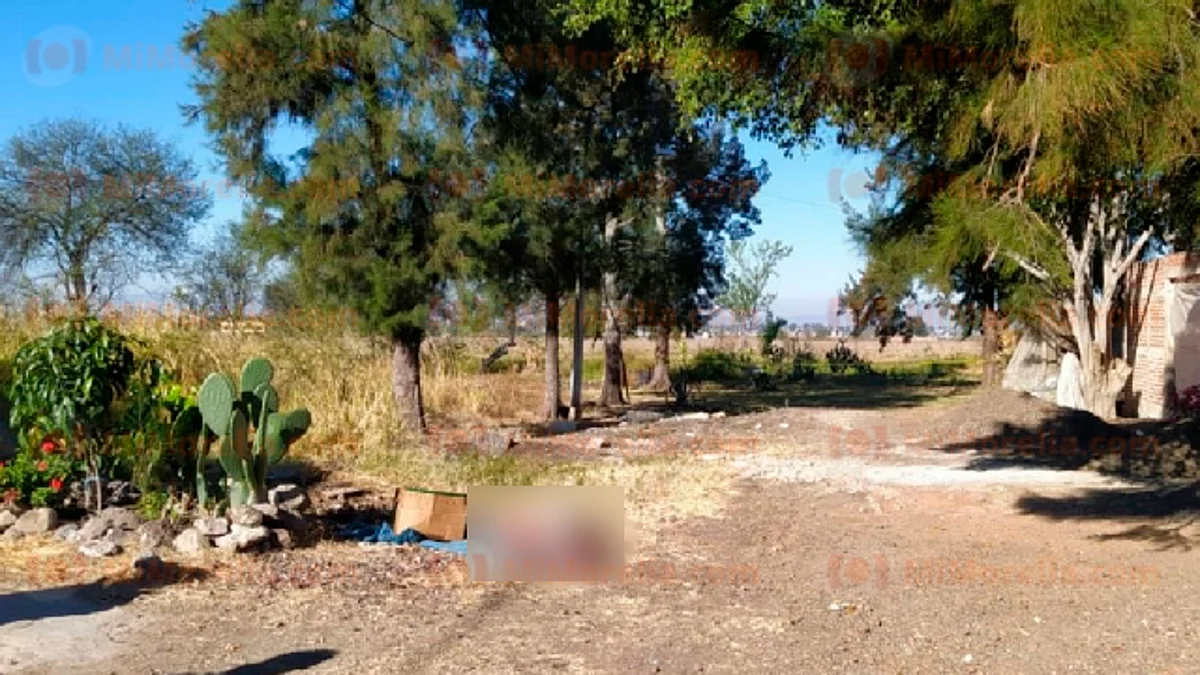 Hallan cadáver decapitado y con los brazos mutilados, en Zamora