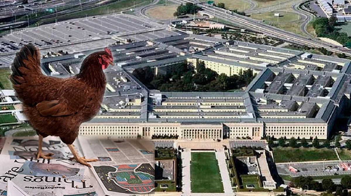Gallina intenta infiltrarse al Pentágono y la detienen