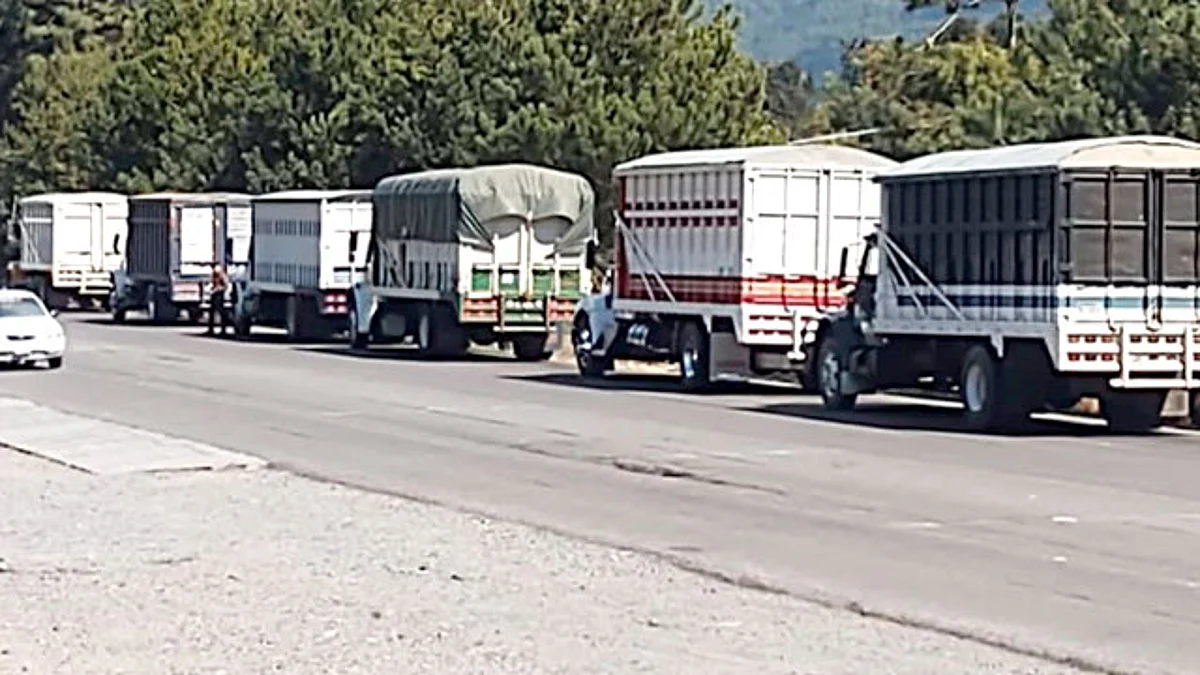 En Uruapan, Policía Michoacán acompaña a 15 camiones cargados de aguacate