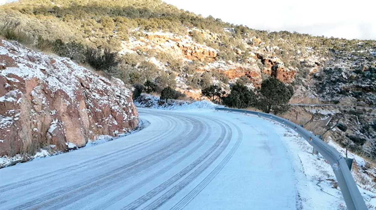 Nevada pinta de blanco Chihuahua