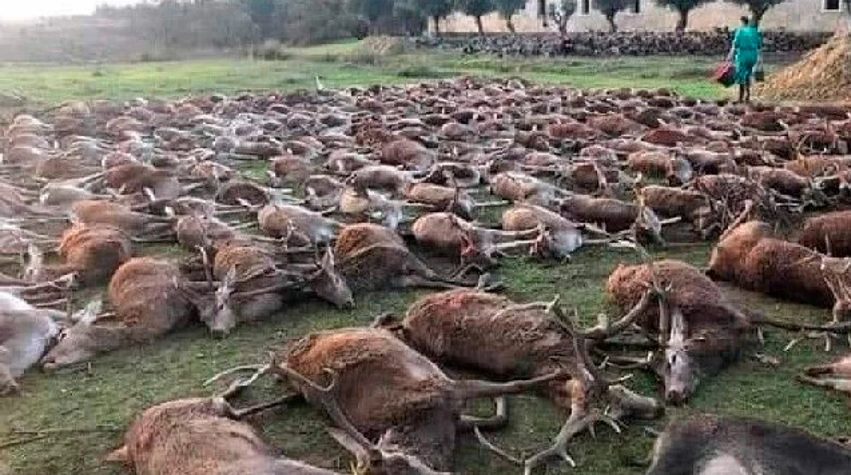Ecologistas denuncian cacería de más de 400 animales en un solo día