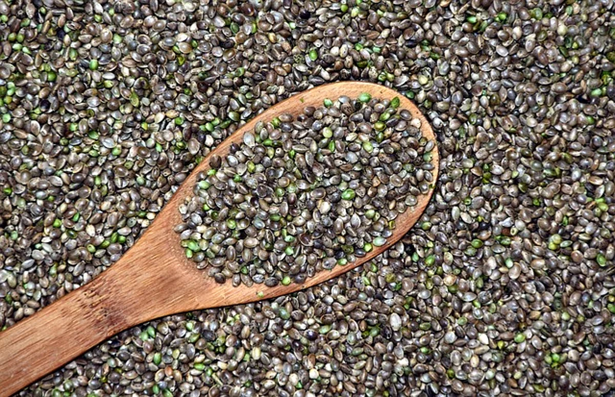 El cultivo de Cannabis, mas preguntas que respuestas